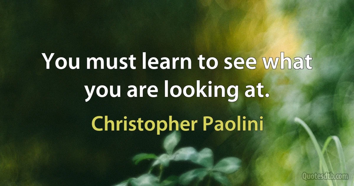 You must learn to see what you are looking at. (Christopher Paolini)