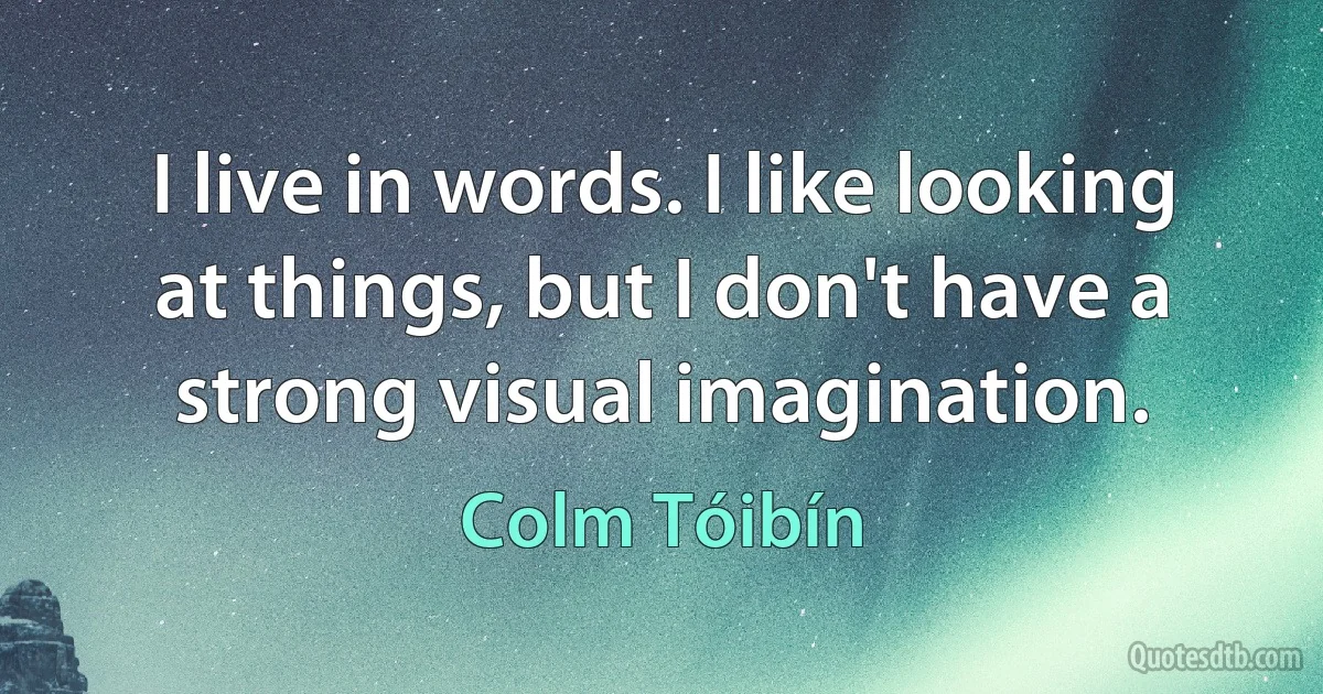 I live in words. I like looking at things, but I don't have a strong visual imagination. (Colm Tóibín)