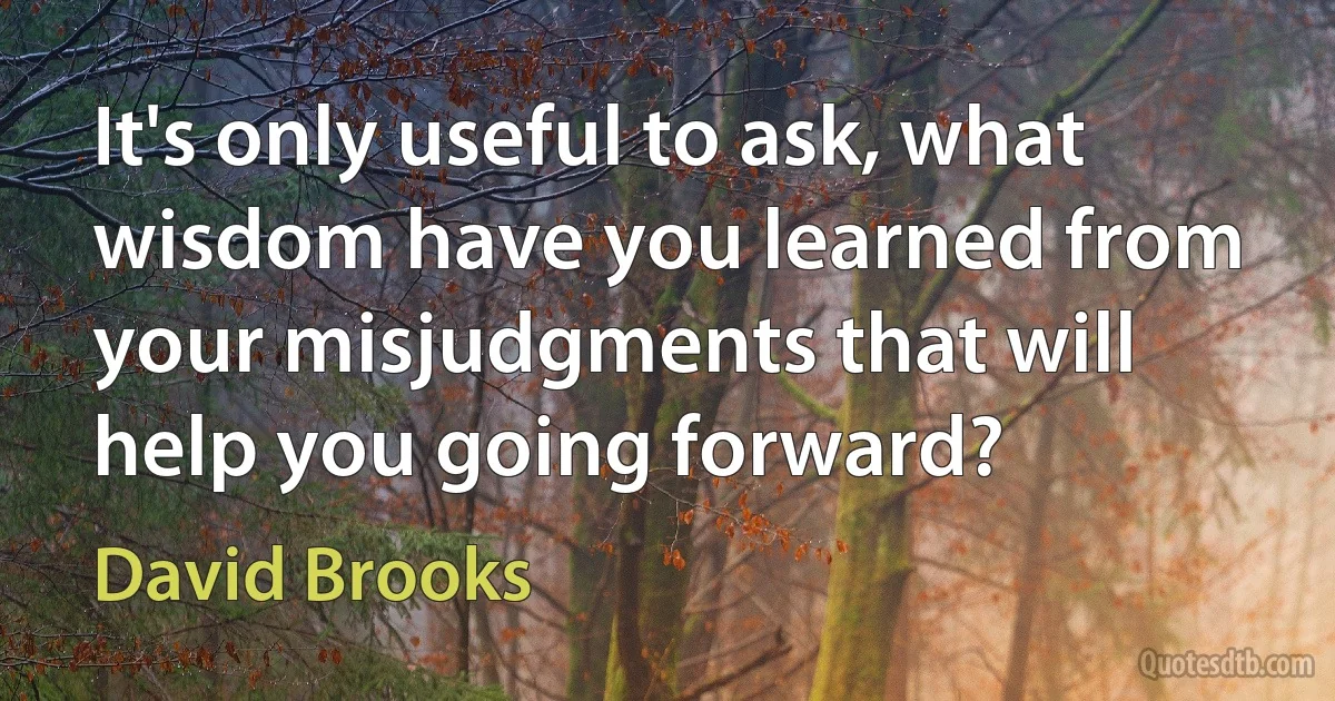 It's only useful to ask, what wisdom have you learned from your misjudgments that will help you going forward? (David Brooks)