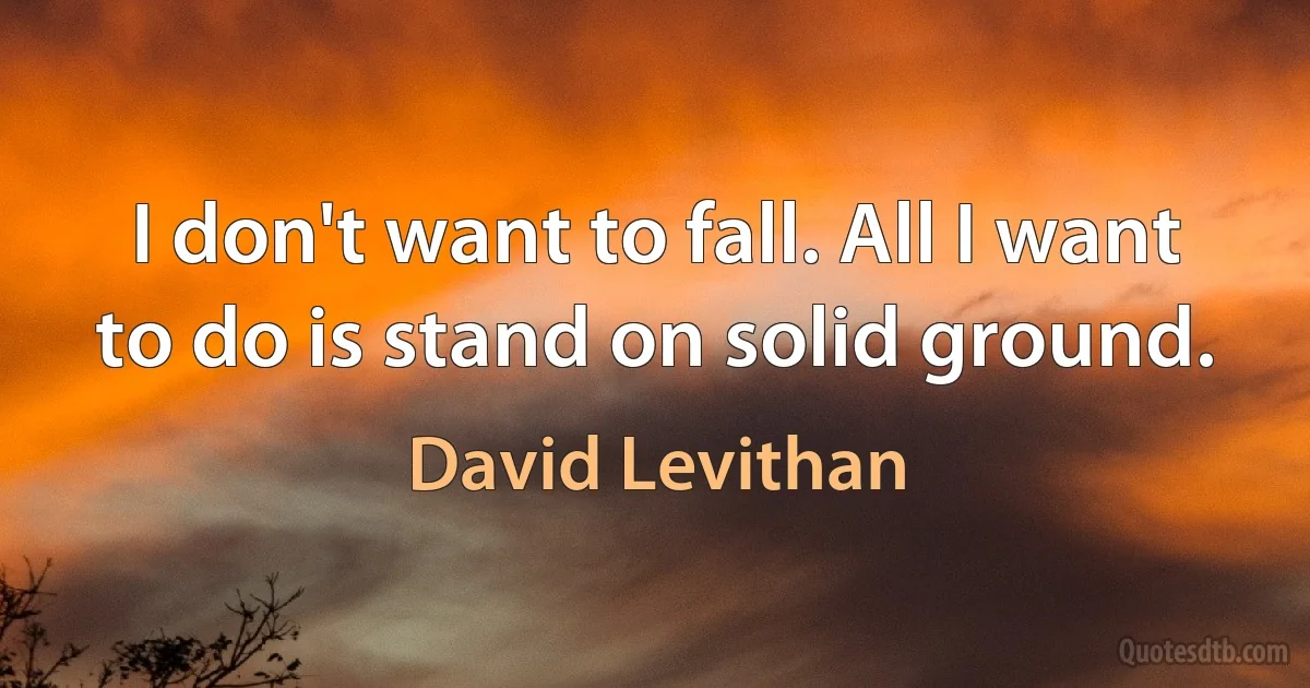 I don't want to fall. All I want to do is stand on solid ground. (David Levithan)