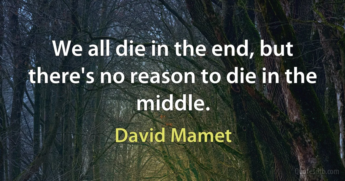 We all die in the end, but there's no reason to die in the middle. (David Mamet)