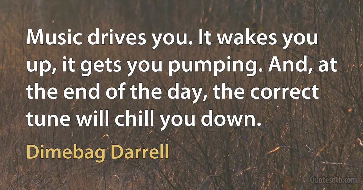 Music drives you. It wakes you up, it gets you pumping. And, at the end of the day, the correct tune will chill you down. (Dimebag Darrell)