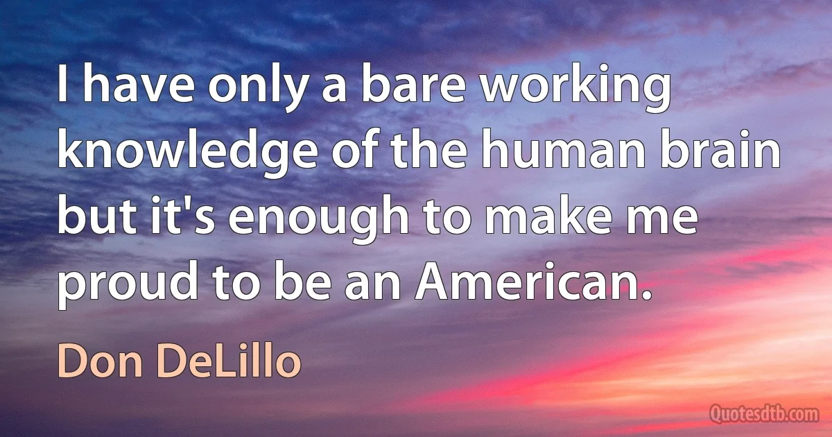 I have only a bare working knowledge of the human brain but it's enough to make me proud to be an American. (Don DeLillo)