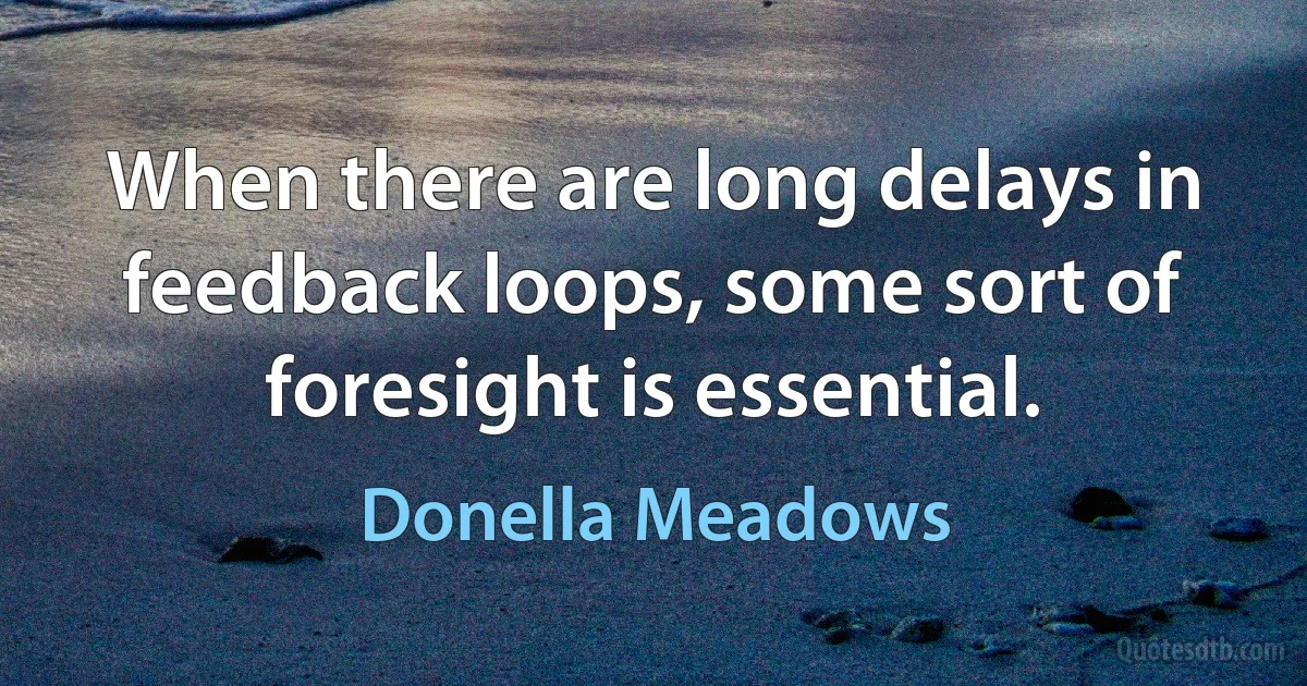 When there are long delays in feedback loops, some sort of foresight is essential. (Donella Meadows)