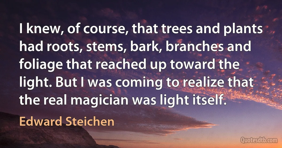 I knew, of course, that trees and plants had roots, stems, bark, branches and foliage that reached up toward the light. But I was coming to realize that the real magician was light itself. (Edward Steichen)