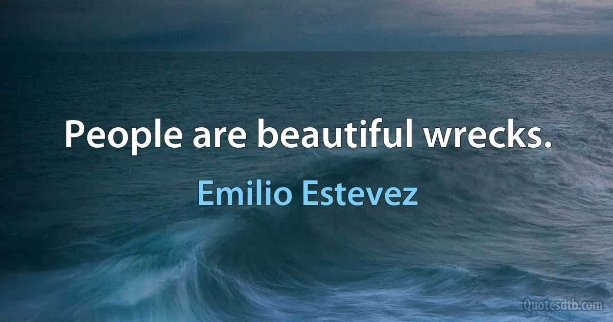 People are beautiful wrecks. (Emilio Estevez)