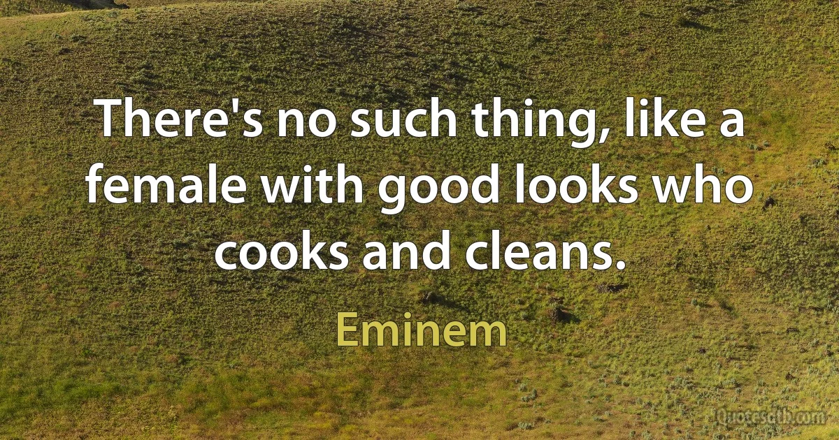 There's no such thing, like a female with good looks who cooks and cleans. (Eminem)