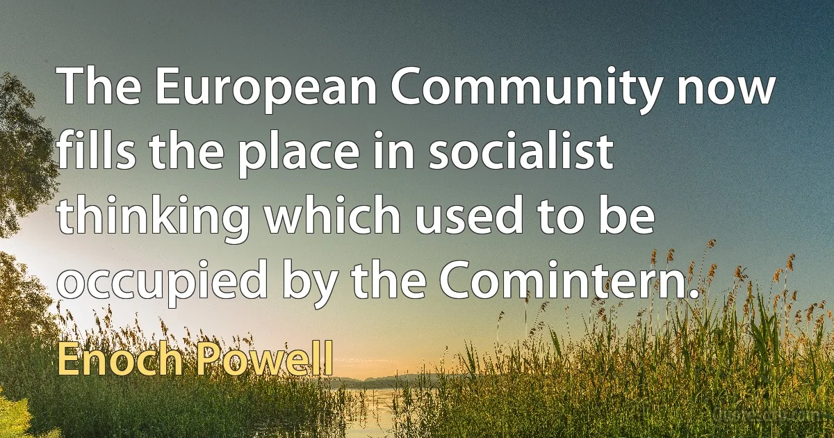 The European Community now fills the place in socialist thinking which used to be occupied by the Comintern. (Enoch Powell)