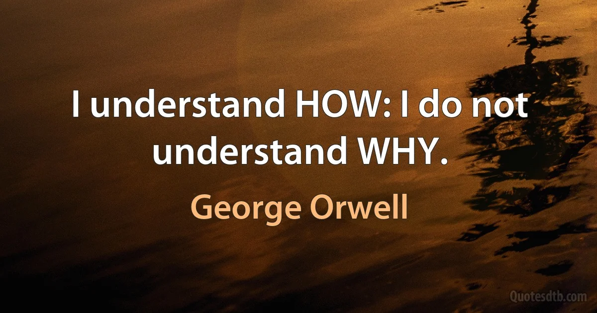 I understand HOW: I do not understand WHY. (George Orwell)