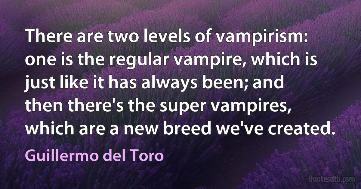 There are two levels of vampirism: one is the regular vampire, which is just like it has always been; and then there's the super vampires, which are a new breed we've created. (Guillermo del Toro)