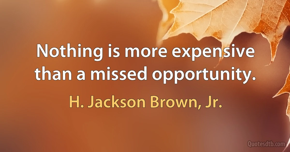 Nothing is more expensive than a missed opportunity. (H. Jackson Brown, Jr.)