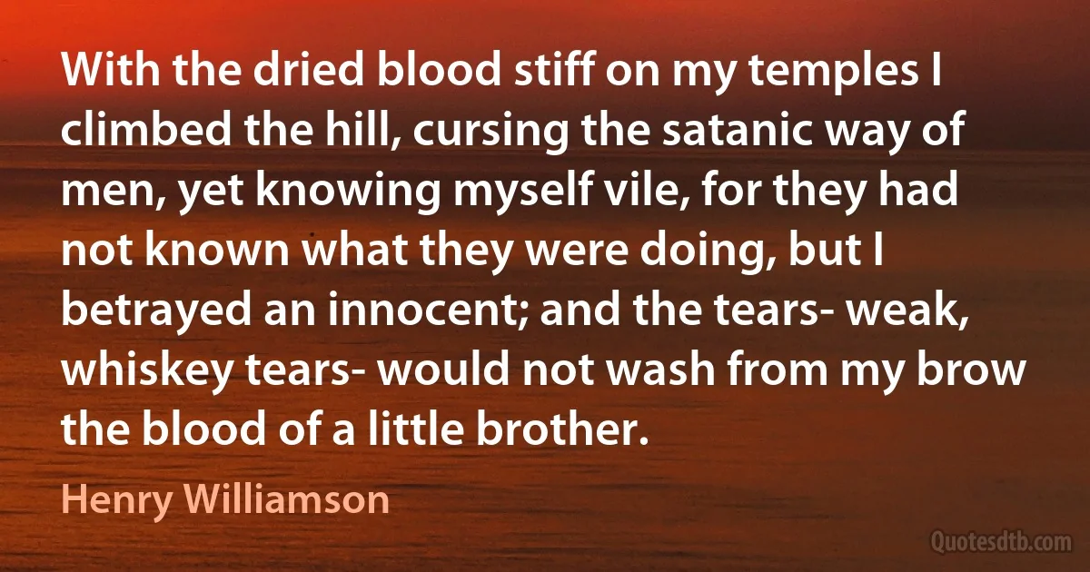 With the dried blood stiff on my temples I climbed the hill, cursing the satanic way of men, yet knowing myself vile, for they had not known what they were doing, but I betrayed an innocent; and the tears- weak, whiskey tears- would not wash from my brow the blood of a little brother. (Henry Williamson)