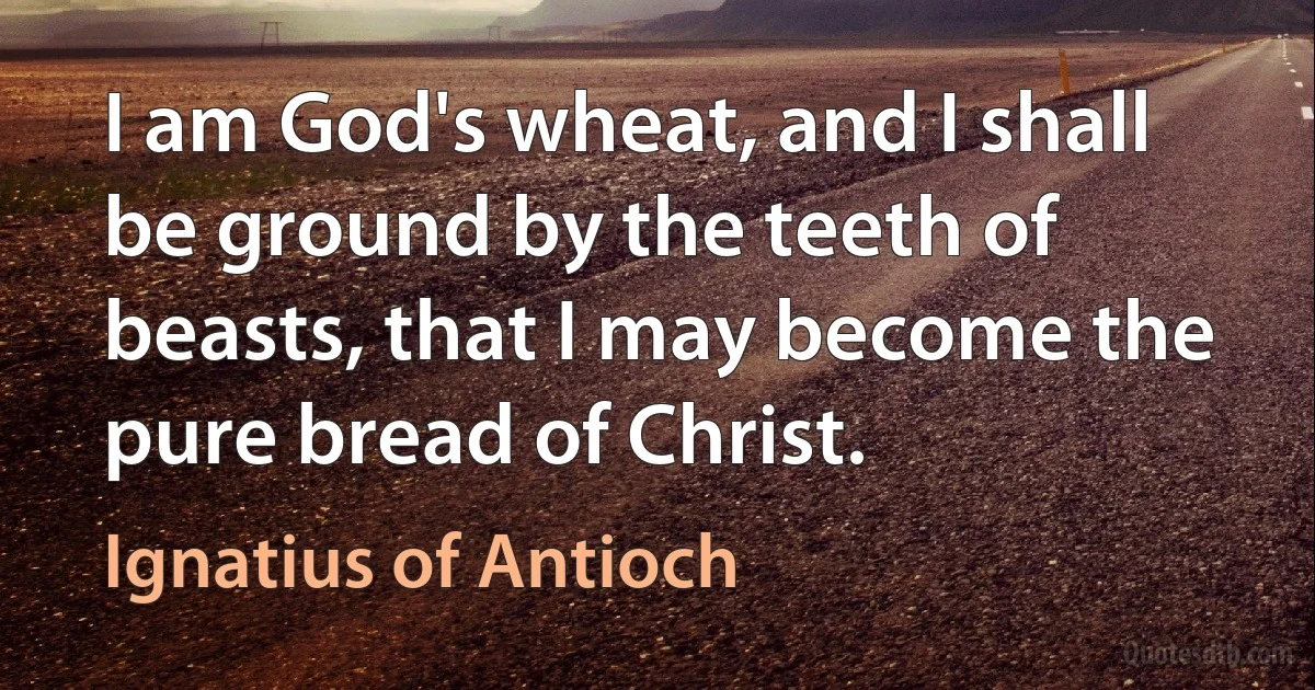 I am God's wheat, and I shall be ground by the teeth of beasts, that I may become the pure bread of Christ. (Ignatius of Antioch)