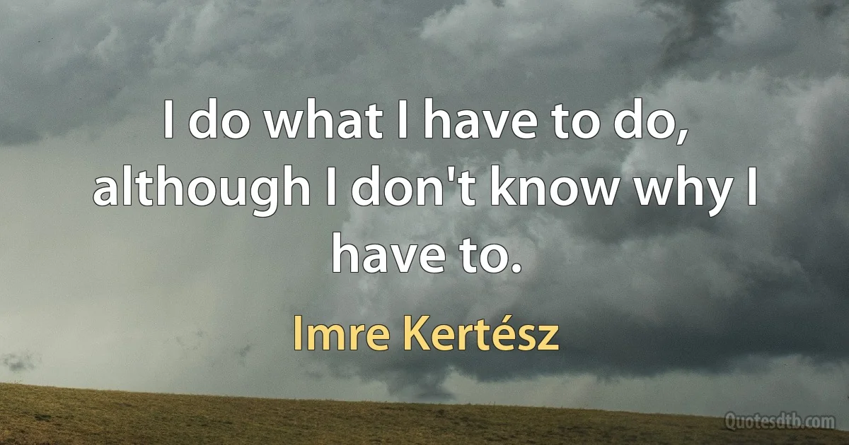 I do what I have to do, although I don't know why I have to. (Imre Kertész)