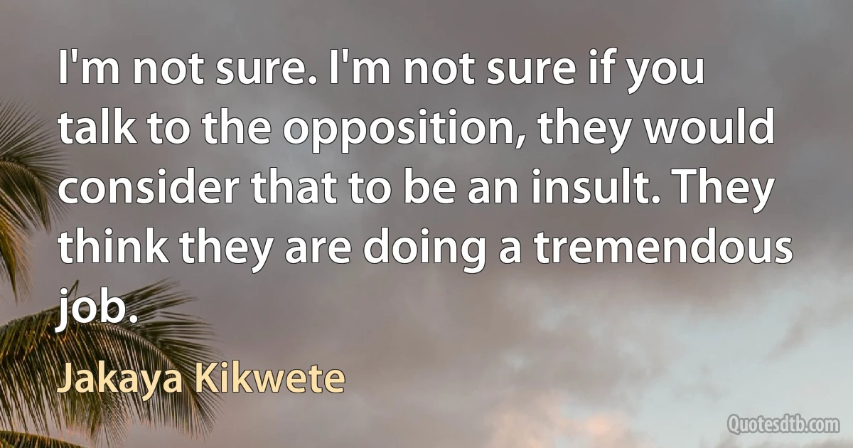 I'm not sure. I'm not sure if you talk to the opposition, they would consider that to be an insult. They think they are doing a tremendous job. (Jakaya Kikwete)