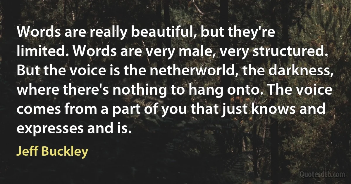 Words are really beautiful, but they're limited. Words are very male, very structured. But the voice is the netherworld, the darkness, where there's nothing to hang onto. The voice comes from a part of you that just knows and expresses and is. (Jeff Buckley)