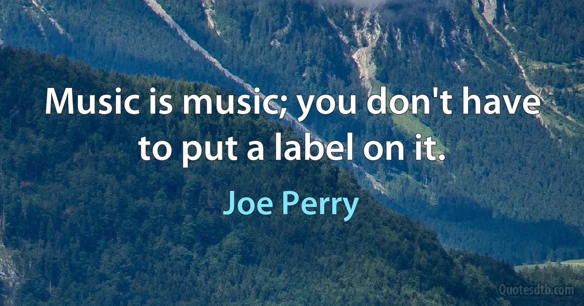 Music is music; you don't have to put a label on it. (Joe Perry)