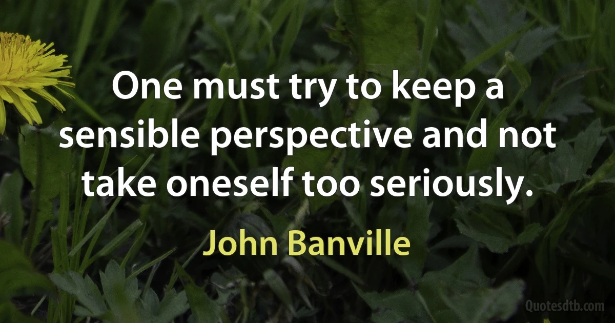 One must try to keep a sensible perspective and not take oneself too seriously. (John Banville)