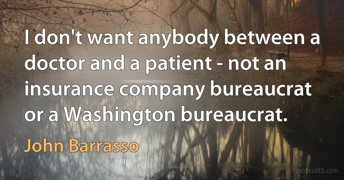 I don't want anybody between a doctor and a patient - not an insurance company bureaucrat or a Washington bureaucrat. (John Barrasso)