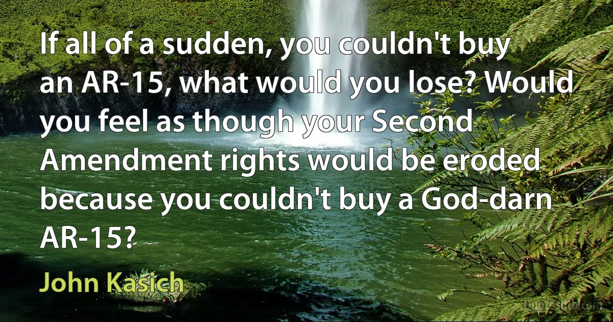 If all of a sudden, you couldn't buy an AR-15, what would you lose? Would you feel as though your Second Amendment rights would be eroded because you couldn't buy a God-darn AR-15? (John Kasich)