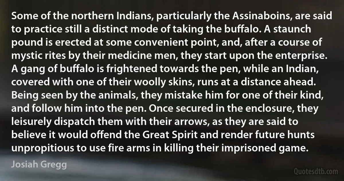 Some of the northern Indians, particularly the Assinaboins, are said to practice still a distinct mode of taking the buffalo. A staunch pound is erected at some convenient point, and, after a course of mystic rites by their medicine men, they start upon the enterprise. A gang of buffalo is frightened towards the pen, while an Indian, covered with one of their woolly skins, runs at a distance ahead. Being seen by the animals, they mistake him for one of their kind, and follow him into the pen. Once secured in the enclosure, they leisurely dispatch them with their arrows, as they are said to believe it would offend the Great Spirit and render future hunts unpropitious to use fire arms in killing their imprisoned game. (Josiah Gregg)