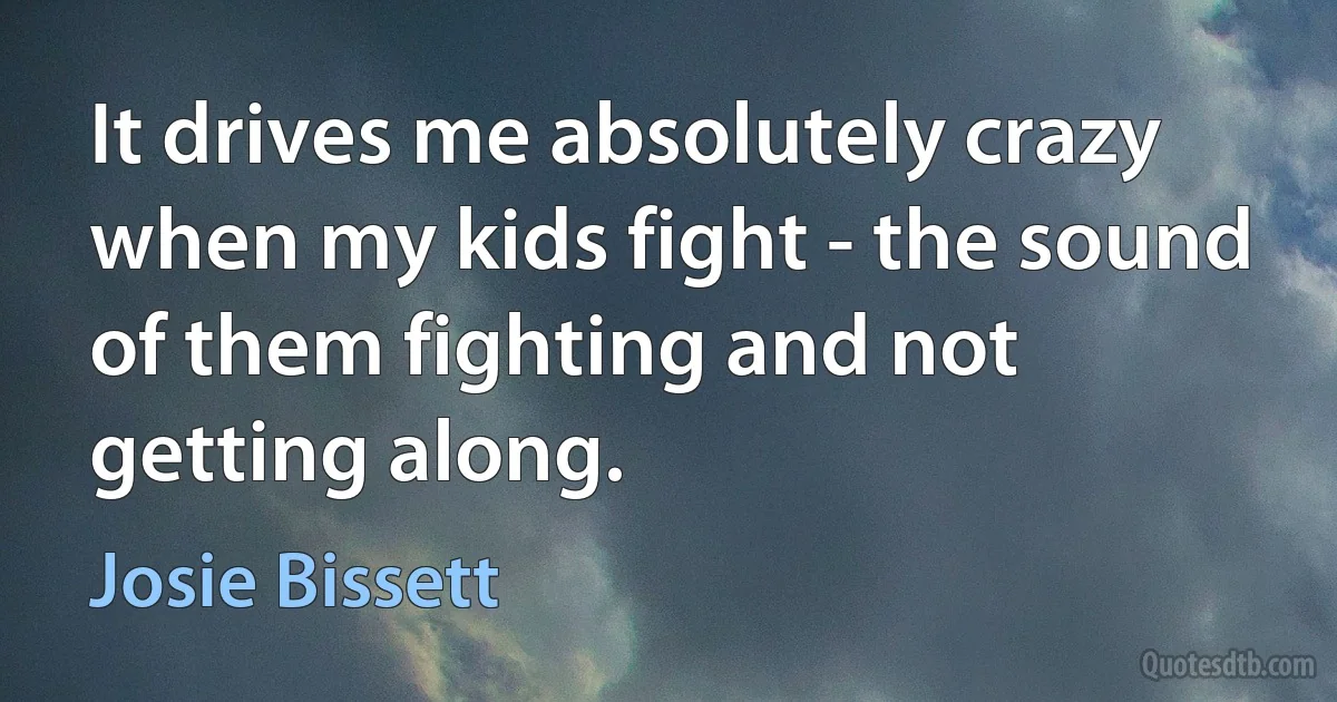 It drives me absolutely crazy when my kids fight - the sound of them fighting and not getting along. (Josie Bissett)