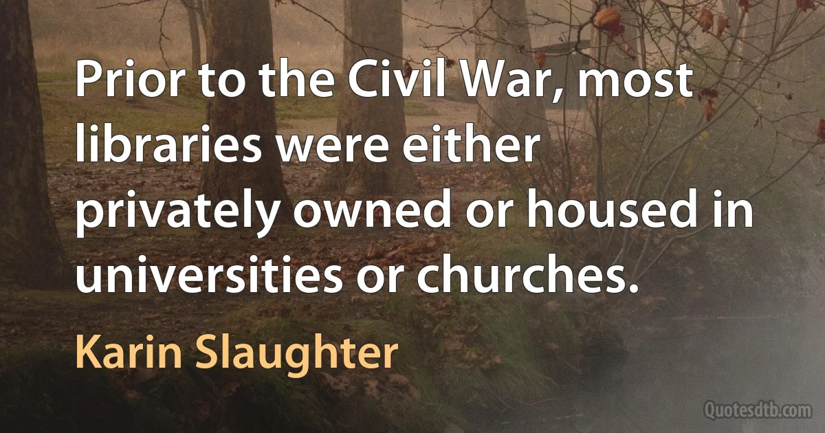 Prior to the Civil War, most libraries were either privately owned or housed in universities or churches. (Karin Slaughter)