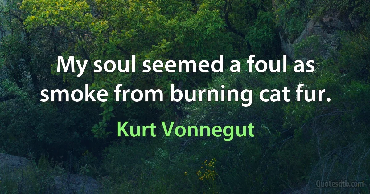 My soul seemed a foul as smoke from burning cat fur. (Kurt Vonnegut)