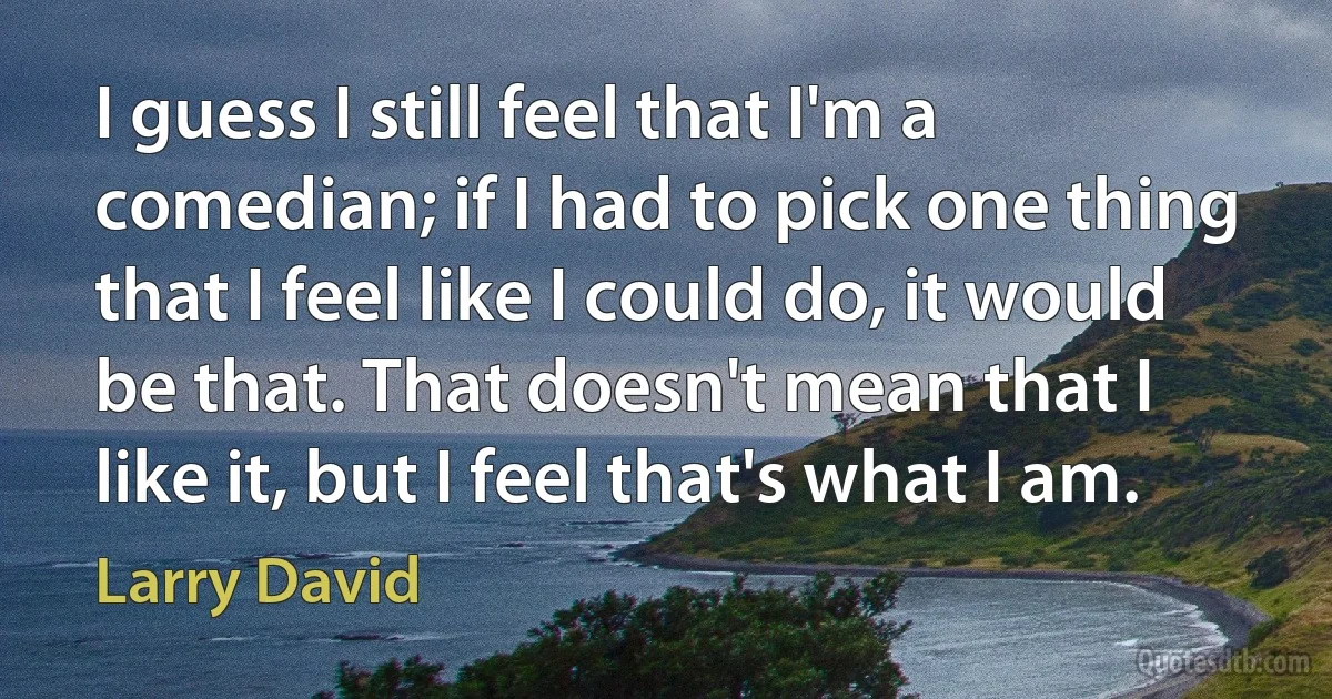 I guess I still feel that I'm a comedian; if I had to pick one thing that I feel like I could do, it would be that. That doesn't mean that I like it, but I feel that's what I am. (Larry David)