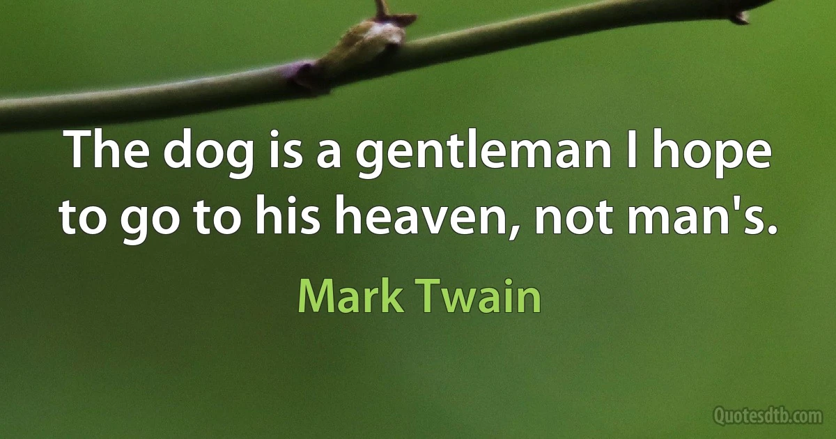 The dog is a gentleman I hope to go to his heaven, not man's. (Mark Twain)