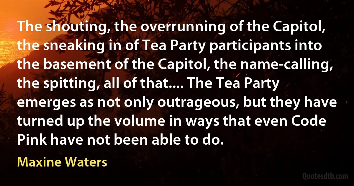 The shouting, the overrunning of the Capitol, the sneaking in of Tea Party participants into the basement of the Capitol, the name-calling, the spitting, all of that.... The Tea Party emerges as not only outrageous, but they have turned up the volume in ways that even Code Pink have not been able to do. (Maxine Waters)