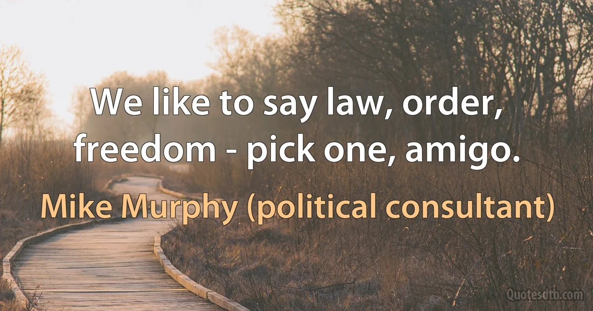 We like to say law, order, freedom - pick one, amigo. (Mike Murphy (political consultant))