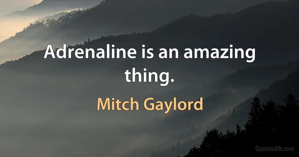 Adrenaline is an amazing thing. (Mitch Gaylord)