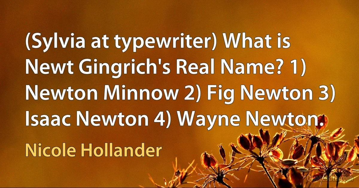 (Sylvia at typewriter) What is Newt Gingrich's Real Name? 1) Newton Minnow 2) Fig Newton 3) Isaac Newton 4) Wayne Newton. (Nicole Hollander)