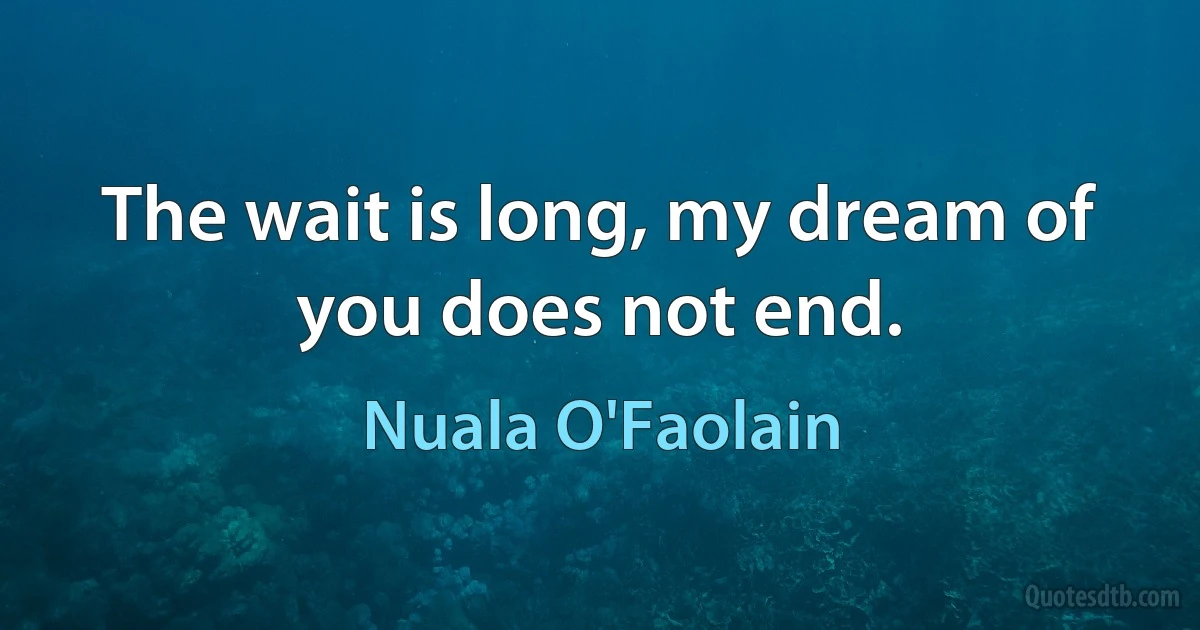 The wait is long, my dream of you does not end. (Nuala O'Faolain)