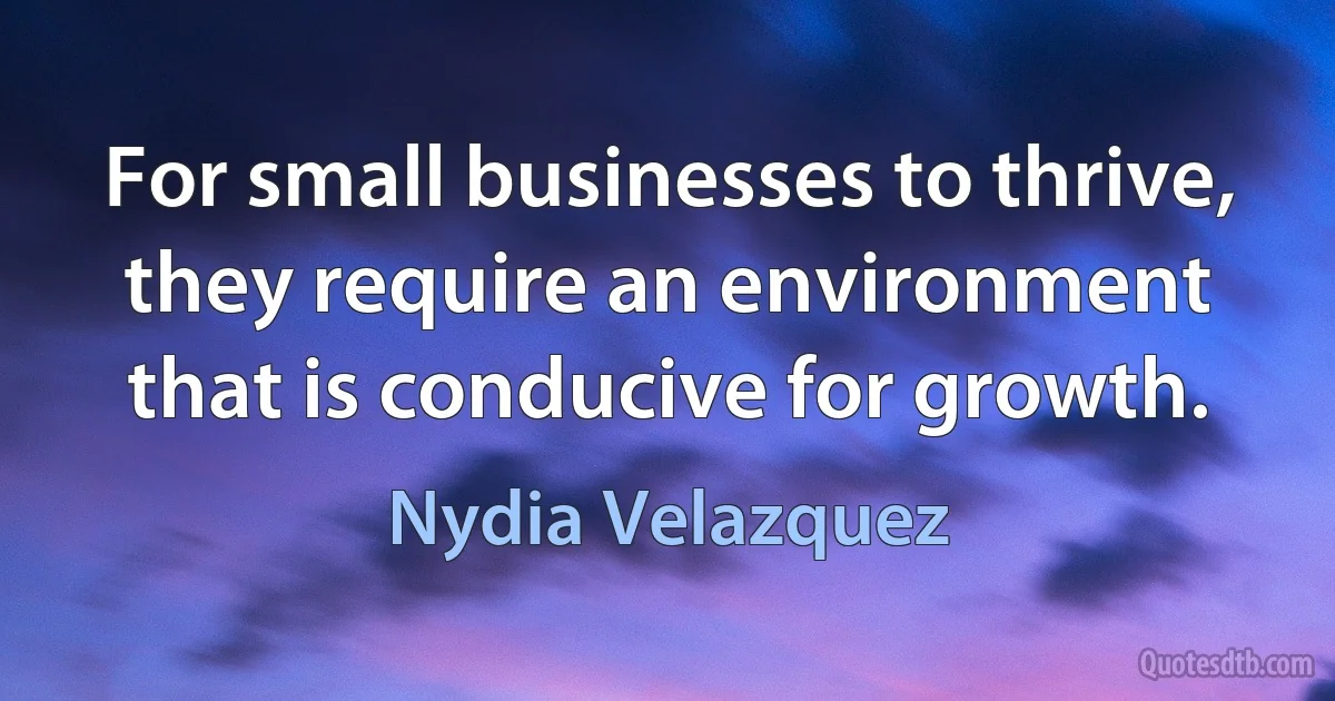 For small businesses to thrive, they require an environment that is conducive for growth. (Nydia Velazquez)