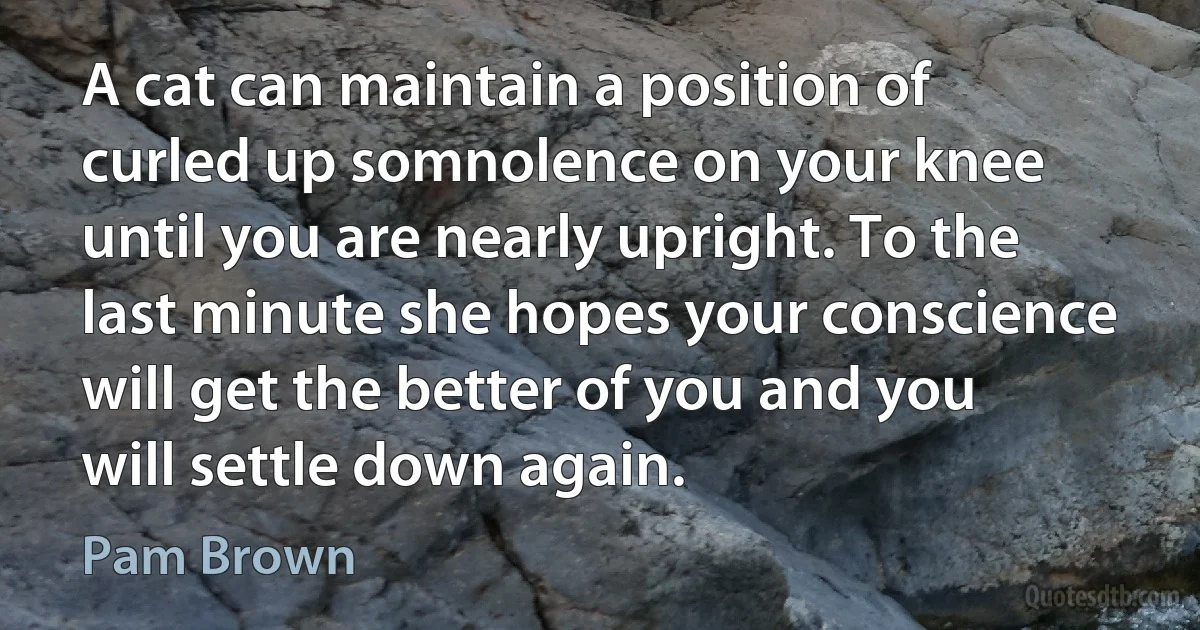 A cat can maintain a position of curled up somnolence on your knee until you are nearly upright. To the last minute she hopes your conscience will get the better of you and you will settle down again. (Pam Brown)