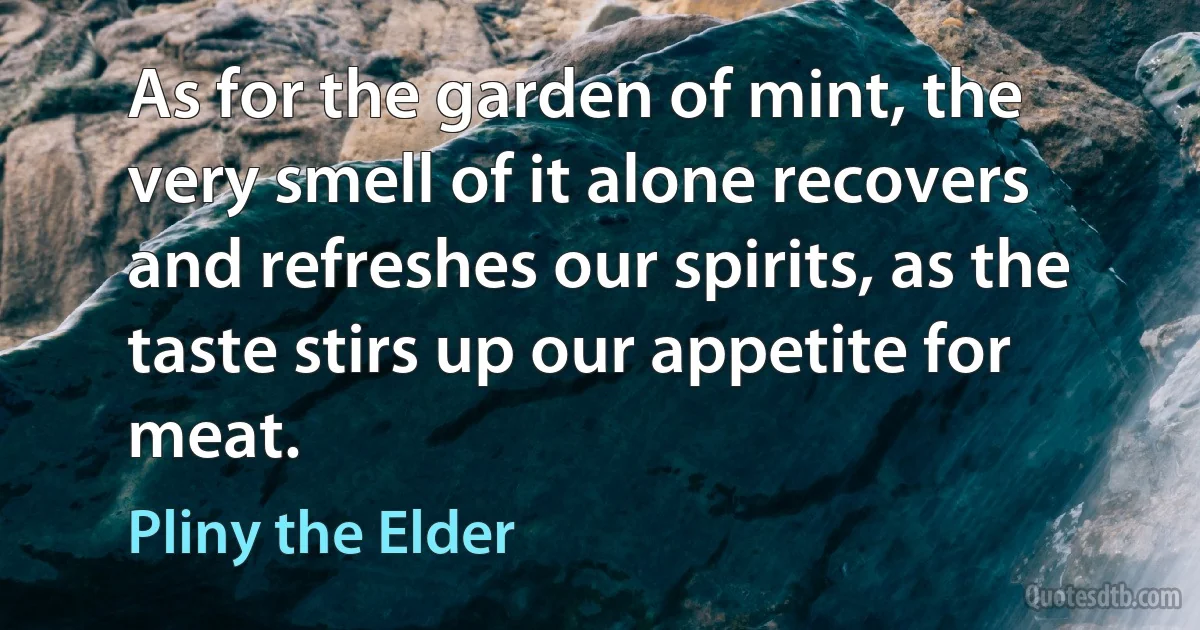 As for the garden of mint, the very smell of it alone recovers and refreshes our spirits, as the taste stirs up our appetite for meat. (Pliny the Elder)