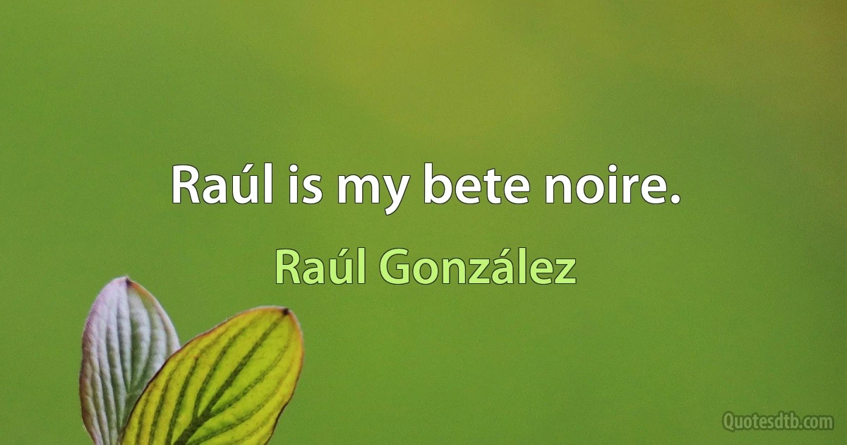 Raúl is my bete noire. (Raúl González)