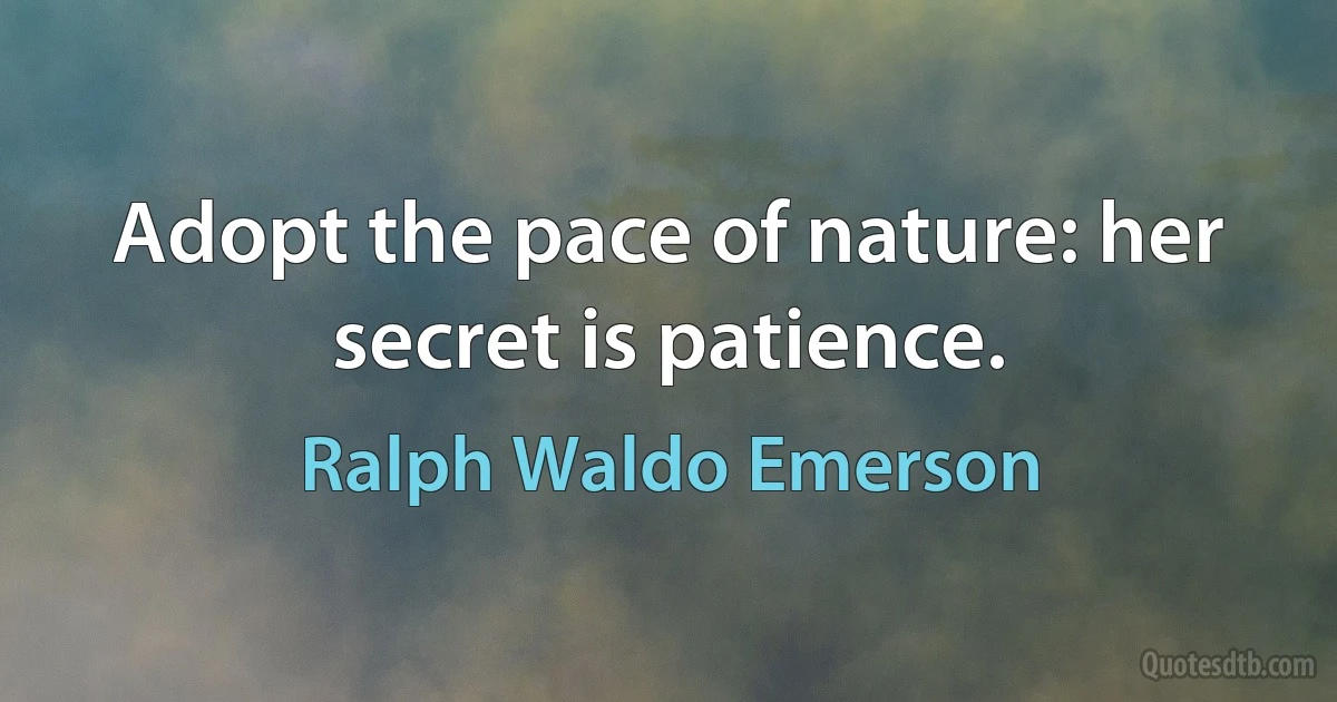 Adopt the pace of nature: her secret is patience. (Ralph Waldo Emerson)