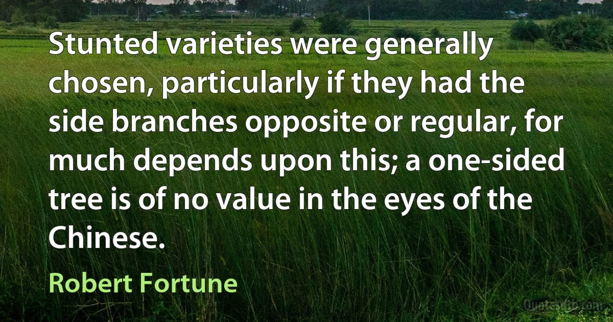 Stunted varieties were generally chosen, particularly if they had the side branches opposite or regular, for much depends upon this; a one-sided tree is of no value in the eyes of the Chinese. (Robert Fortune)