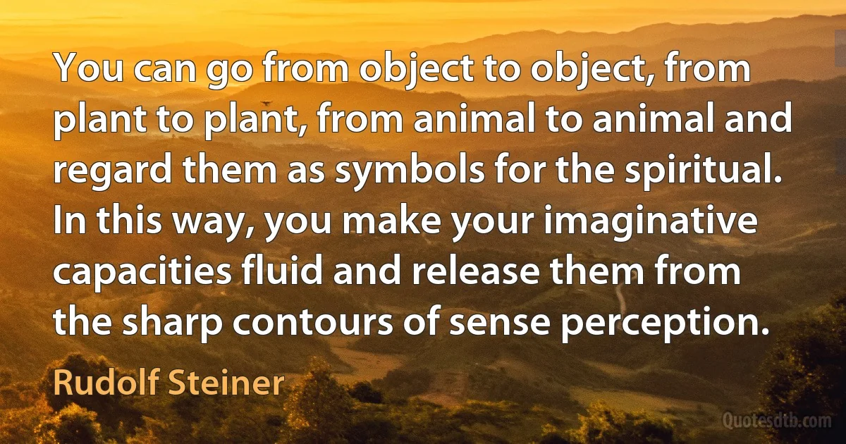 You can go from object to object, from plant to plant, from animal to animal and regard them as symbols for the spiritual. In this way, you make your imaginative capacities fluid and release them from the sharp contours of sense perception. (Rudolf Steiner)