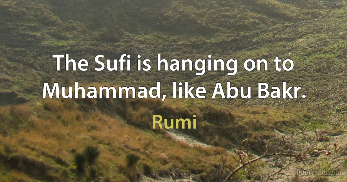 The Sufi is hanging on to Muhammad, like Abu Bakr. (Rumi)