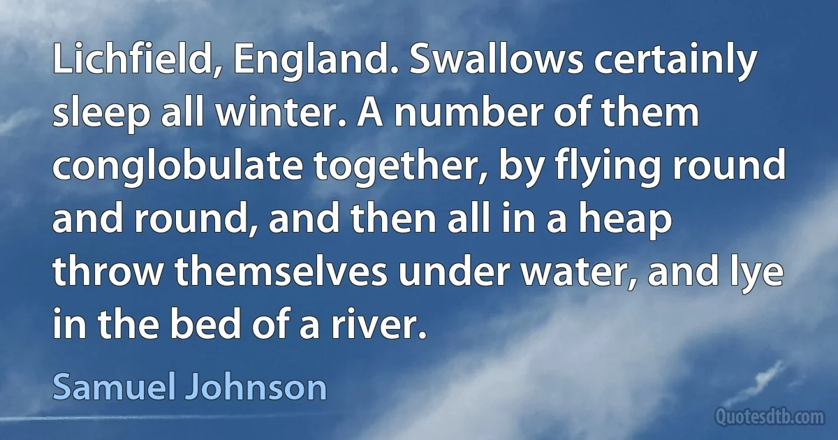 Lichfield, England. Swallows certainly sleep all winter. A number of them conglobulate together, by flying round and round, and then all in a heap throw themselves under water, and lye in the bed of a river. (Samuel Johnson)