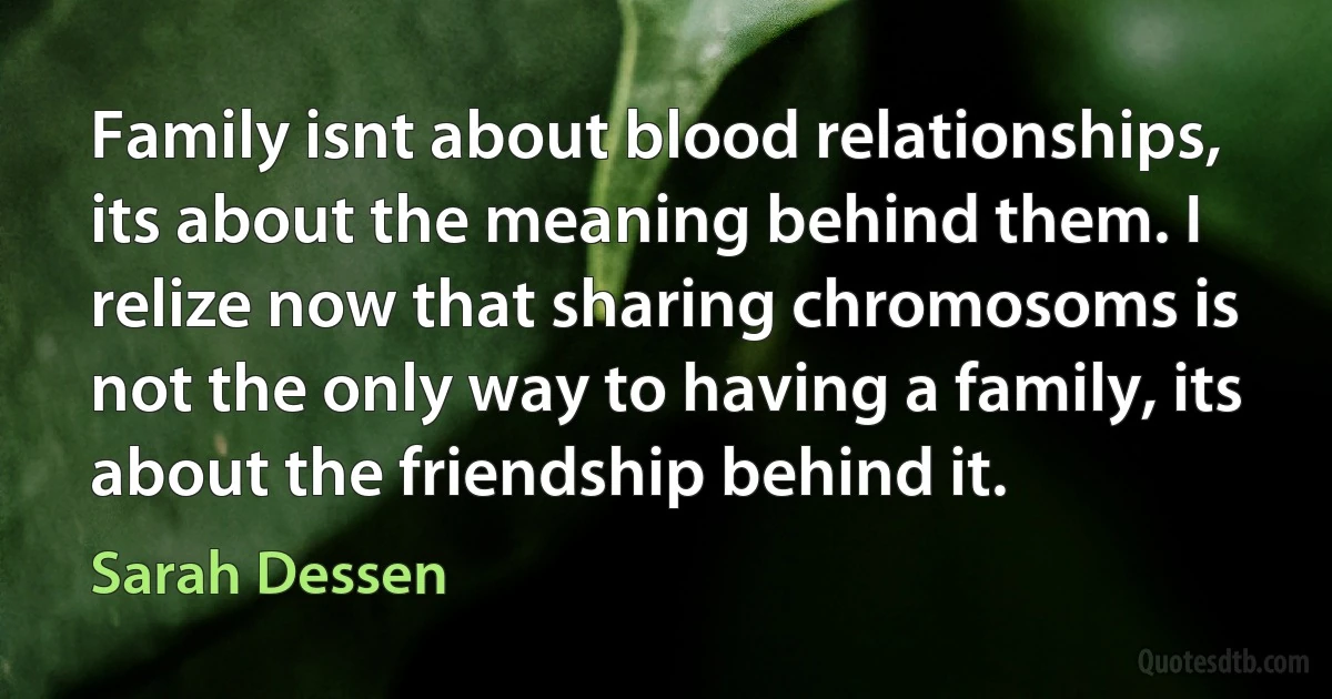 Family isnt about blood relationships, its about the meaning behind them. I relize now that sharing chromosoms is not the only way to having a family, its about the friendship behind it. (Sarah Dessen)