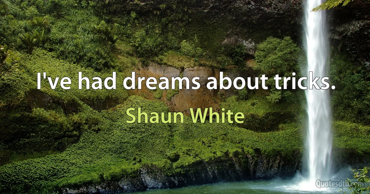 I've had dreams about tricks. (Shaun White)