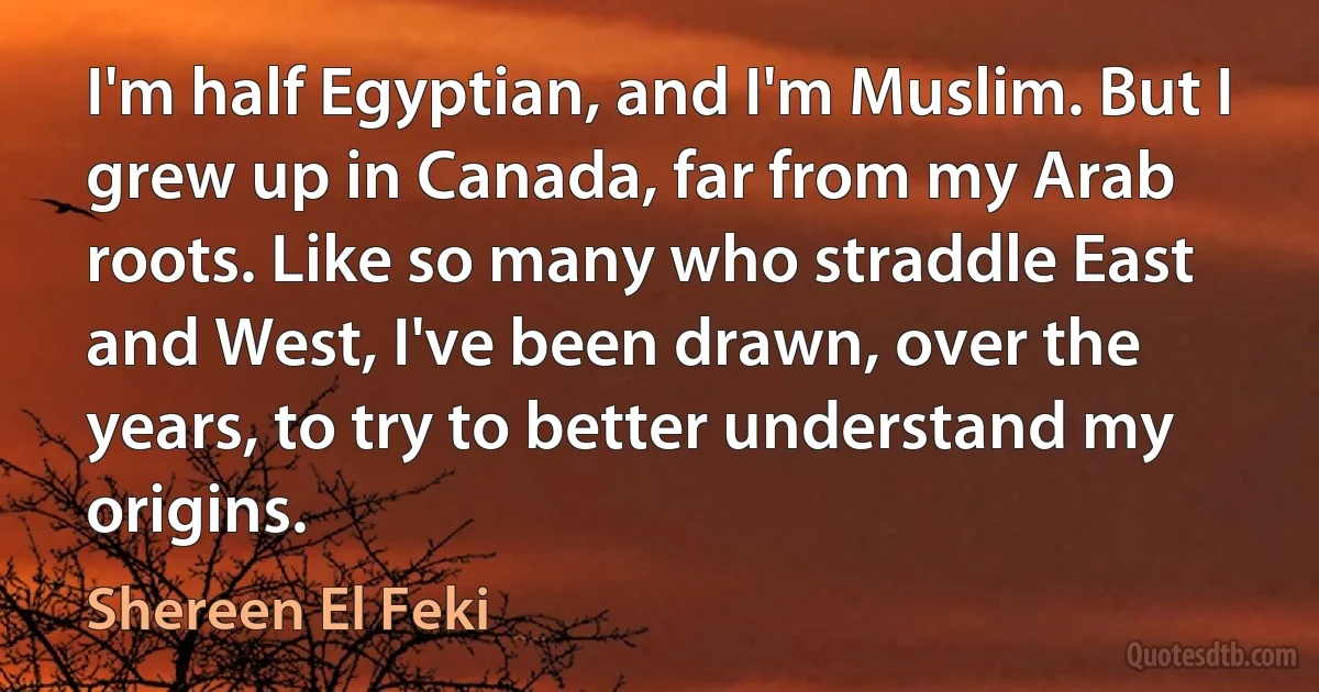 I'm half Egyptian, and I'm Muslim. But I grew up in Canada, far from my Arab roots. Like so many who straddle East and West, I've been drawn, over the years, to try to better understand my origins. (Shereen El Feki)