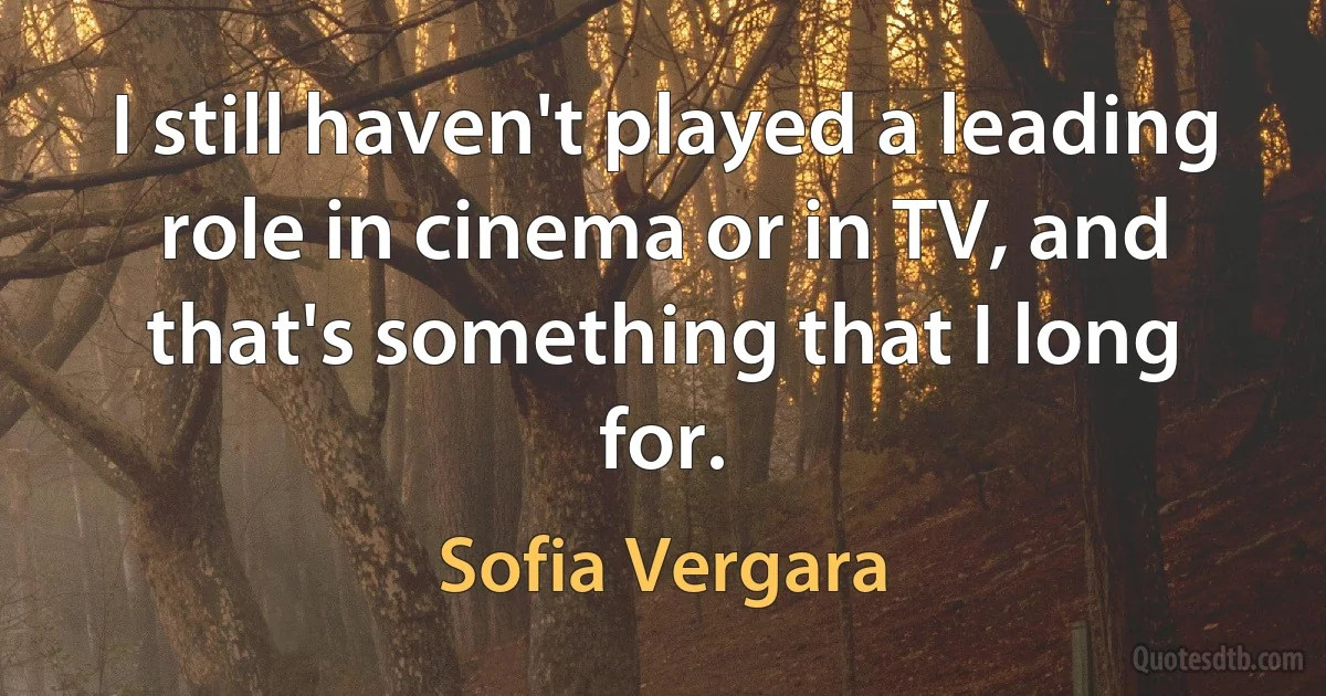 I still haven't played a leading role in cinema or in TV, and that's something that I long for. (Sofia Vergara)