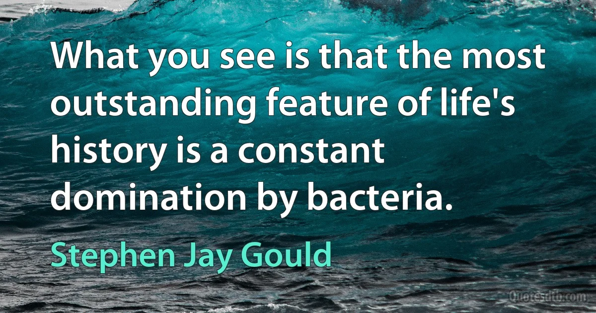 What you see is that the most outstanding feature of life's history is a constant domination by bacteria. (Stephen Jay Gould)