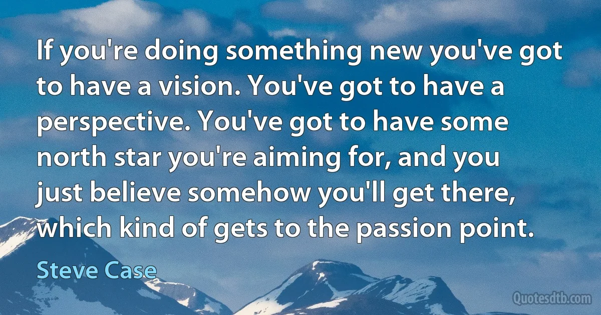 If you're doing something new you've got to have a vision. You've got to have a perspective. You've got to have some north star you're aiming for, and you just believe somehow you'll get there, which kind of gets to the passion point. (Steve Case)